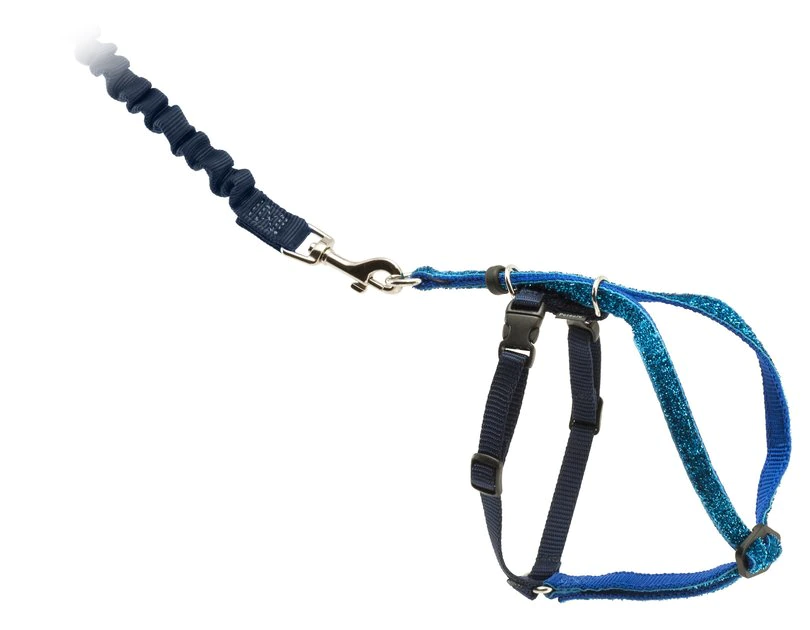 PetSafe Come With Me Kitty Glitter Nylon Cat Harness & Bungee Leash 1 PetSafe Come With Me Kitty Glitter Nylon Cat Harness & Bungee Leash
