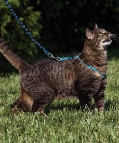 PetSafe Come With Me Kitty Glitter Nylon Cat Harness & Bungee Leash 8 PetSafe Come With Me Kitty Glitter Nylon Cat Harness & Bungee Leash -PetSafe Store 101824 PT3. SY630 V1475677655