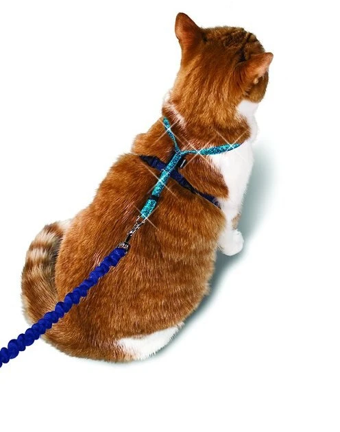 PetSafe Come With Me Kitty Glitter Nylon Cat Harness & Bungee Leash 2 PetSafe Come With Me Kitty Glitter Nylon Cat Harness & Bungee Leash - Image 2