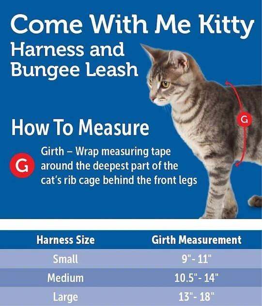 PetSafe Come With Me Kitty Glitter Nylon Cat Harness & Bungee Leash 5 PetSafe Come With Me Kitty Glitter Nylon Cat Harness & Bungee Leash - Image 5
