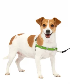 PetSafe Easy Walk Dog Harness