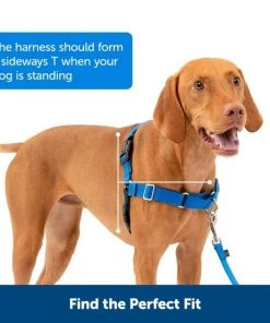 PetSafe Easy Walk Dog Harness -PetSafe Store 104060 PT4. SY630 V1657654933