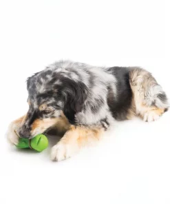 Busy Buddy Turtle Treat Dispenser Tough Dog Chew Toy -PetSafe Store 105220 PT2. SY630 V1472046852