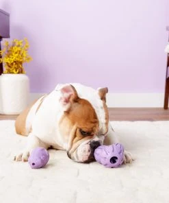 Busy Buddy Calming Treat Dispenser Dog Toy 9 Busy Buddy Calming Treat Dispenser Dog Toy -PetSafe Store 105222 PT2. SY630 V1531554156