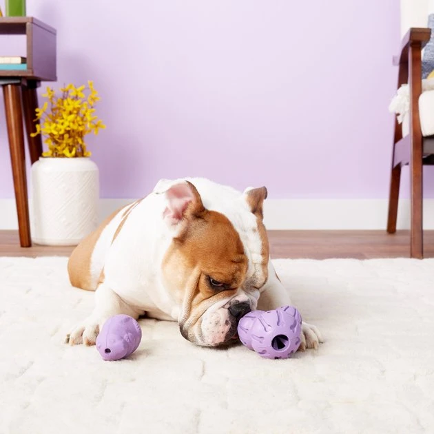 Busy Buddy Calming Treat Dispenser Dog Toy 3 Busy Buddy Calming Treat Dispenser Dog Toy - Image 3