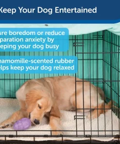 Busy Buddy Calming Treat Dispenser Dog Toy 10 Busy Buddy Calming Treat Dispenser Dog Toy -PetSafe Store 105222 PT3. SY630 V1602303066