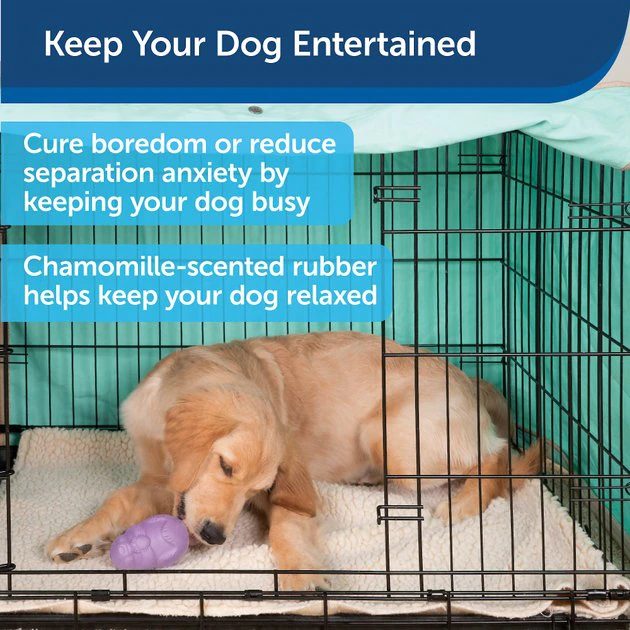 Busy Buddy Calming Treat Dispenser Dog Toy 4 Busy Buddy Calming Treat Dispenser Dog Toy - Image 4