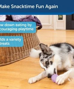 Busy Buddy Calming Treat Dispenser Dog Toy 13 Busy Buddy Calming Treat Dispenser Dog Toy -PetSafe Store 105222 PT7. SY630 V1602297690