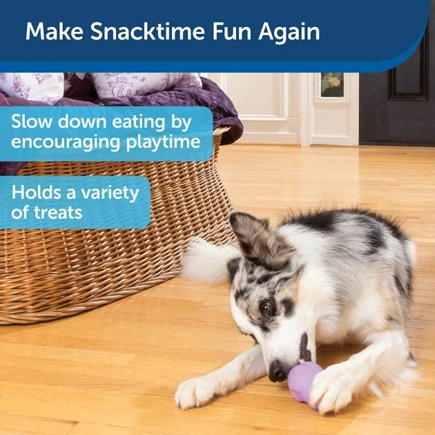 Busy Buddy Calming Treat Dispenser Dog Toy 7 Busy Buddy Calming Treat Dispenser Dog Toy - Image 7