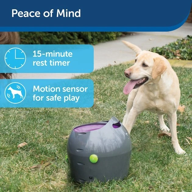 PetSafe Automatic Ball Launcher Dog Toy 4 PetSafe Automatic Ball Launcher Dog Toy - Image 4