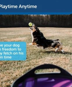 PetSafe Automatic Ball Launcher Dog Toy 12 PetSafe Automatic Ball Launcher Dog Toy -PetSafe Store 105449 PT5. SY630 V1617321406