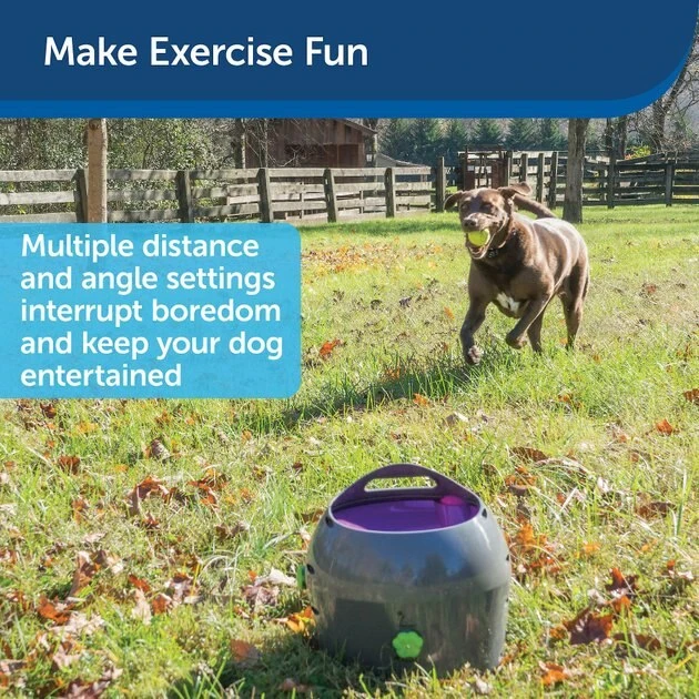 PetSafe Automatic Ball Launcher Dog Toy 7 PetSafe Automatic Ball Launcher Dog Toy - Image 7