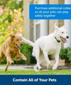 PetSafe Stay & Play Wireless Fence with Replaceable Battery Collar -PetSafe Store 113385 PT5. SY630 V1657655271