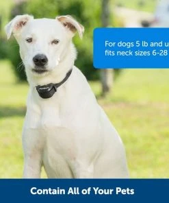 PetSafe Stay & Play Wireless Fence with Replaceable Battery Collar -PetSafe Store 113393 PT3. SY630 V1657655271