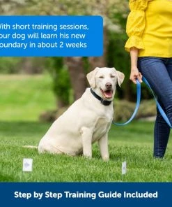 PetSafe Stay & Play Wireless Fence with Replaceable Battery Collar -PetSafe Store 113393 PT4. SY630 V1657655271