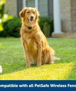 PetSafe Stay & Play Wireless Fence with Replaceable Battery Collar -PetSafe Store 113393 PT6. SY630 V1657655271