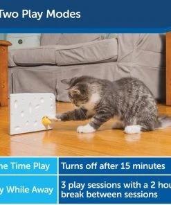 PetSafe Cheese Motion Cat Toy -PetSafe Store 114120 PT3. SY630 V1599813056