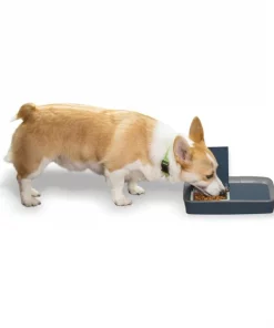 PetSafe Digital 2-Meal Automatic Dog & Cat Feeder