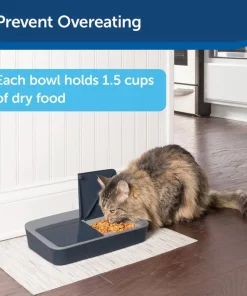 PetSafe Digital 2-Meal Automatic Dog & Cat Feeder -PetSafe Store 120968 PT3. SY630 V1598654762