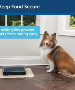 PetSafe Digital 2-Meal Automatic Dog & Cat Feeder -PetSafe Store 120968 PT4. SY630 V1598653891