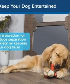 Busy Buddy Jack Treat Dispenser Tough Dog Chew Toy -PetSafe Store 121341 PT3. SY630 V1599828063