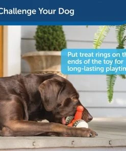 Busy Buddy Jack Treat Dispenser Tough Dog Chew Toy -PetSafe Store 121341 PT4. SY630 V1599827779