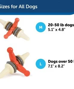 Busy Buddy Jack Treat Dispenser Tough Dog Chew Toy -PetSafe Store 121341 PT5. SY630 V1599827777