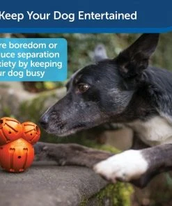 PetSafe Sportsmen Barnacle Treat Dispenser Dog Toy -PetSafe Store 121350 PT3. SY630 V1599831111