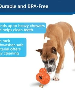 PetSafe Sportsmen Barnacle Treat Dispenser Dog Toy -PetSafe Store 121350 PT5. SY630 V1599831119