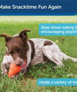 PetSafe Sportsmen Squeak-N-Treat Booya Tough Dog Chew Toy -PetSafe Store 121354 PT3. SY630 V1599756678