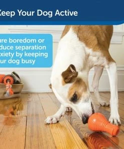 PetSafe Sportsmen Squeak-N-Treat Booya Tough Dog Chew Toy -PetSafe Store 121354 PT4. SY630 V1599756694