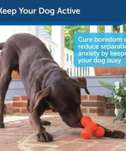 PetSafe Sportsmen Squeak-N-Treat Troog Tough Dog Chew Toy -PetSafe Store 121357 PT3. SY630 V1599830789