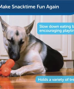 PetSafe Sportsmen Squeak-N-Treat Troog Tough Dog Chew Toy -PetSafe Store 121357 PT4. SY630 V1599831068