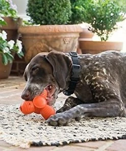 PetSafe Sportsmen Squeak-N-Treat Troog Tough Dog Chew Toy -PetSafe Store 121357 PT7. SY630 V1493242323