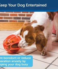 PetSafe Sportsmen Kibble Nibble Feeder Ball Dog Toy -PetSafe Store 121360 PT3. SY630 V1599830765