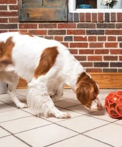 PetSafe Sportsmen Kibble Nibble Feeder Ball Dog Toy -PetSafe Store 121360 PT7. SY630 V1530920076