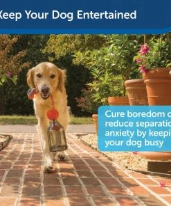 PetSafe Sportsmen Tug A Jug Treat Dispensing Tough Dog Chew Toy -PetSafe Store 121362 PT4. SY630 V1599756960