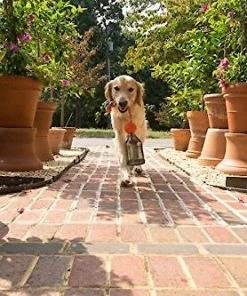 PetSafe Sportsmen Tug A Jug Treat Dispensing Tough Dog Chew Toy -PetSafe Store 121362 PT7. SY630 V1493242332