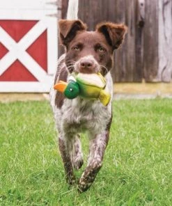 PetSafe Sportsmen Latex Meeze Duck Squeaky Dog Toy -PetSafe Store 121365 PT2. SY630 V1599756978