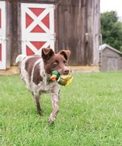 PetSafe Sportsmen Latex Meeze Duck Squeaky Dog Toy -PetSafe Store 121365 PT4. SY630 V1599756965