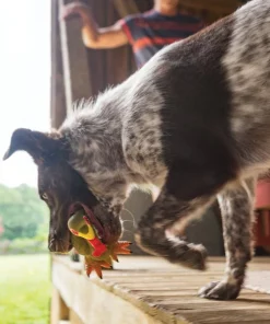 PetSafe Sportsmen Latex Meeze Turkey Squeaky Treat Dispenser Dog Toy -PetSafe Store 121366 PT4. SY630 V1599831071