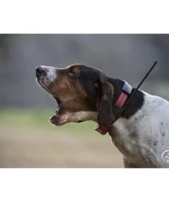 SportDOG TEK 2.0 GPS Tracking & E-Collar System 12 SportDOG TEK 2.0 GPS Tracking & E-Collar System -PetSafe Store 121409 PT5. SY630 V1595985667