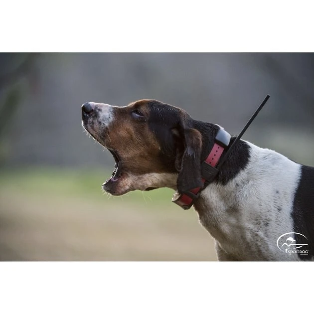 SportDOG TEK 2.0 GPS Tracking & E-Collar System 6 SportDOG TEK 2.0 GPS Tracking & E-Collar System - Image 6