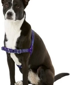 PetSafe Bling Easy Walk Nylon No Pull Dog Harness -PetSafe Store 121416 PT2. SY630 V1569532729