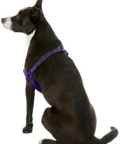 PetSafe Bling Easy Walk Nylon No Pull Dog Harness -PetSafe Store 121416 PT3. SY630 V1569532643