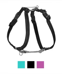 PetSafe 3-in-1 Reflective Dog Harness with Car Control Strap