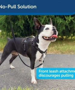 PetSafe 3-in-1 Reflective Dog Harness with Car Control Strap -PetSafe Store 121432 PT3. SY630 V1601010676