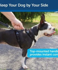 PetSafe 3-in-1 Reflective Dog Harness with Car Control Strap -PetSafe Store 121432 PT5. SY630 V1601035039
