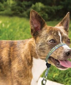 PetSafe Gentle Leader Chic Padded Dog Headcollar & Leash 7 PetSafe Gentle Leader Chic Padded Dog Headcollar & Leash -PetSafe Store 121447 PT2. SY630 V1493242378