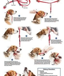 PetSafe Gentle Leader Chic Padded Dog Headcollar & Leash 8 PetSafe Gentle Leader Chic Padded Dog Headcollar & Leash -PetSafe Store 121447 PT3. SY630 V1493242379